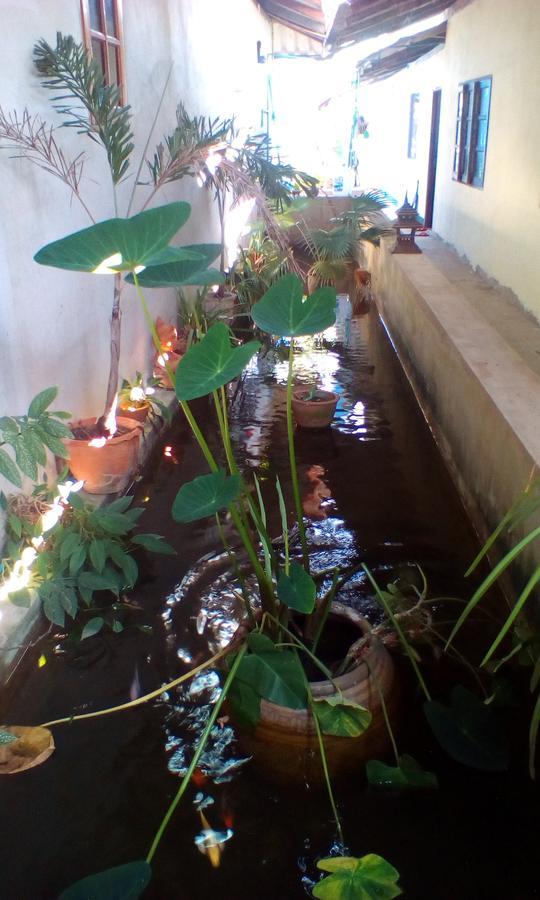 Cheap Sleep Apartment Phayao Exterior foto